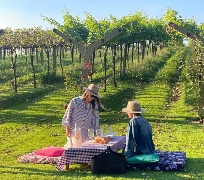 image2 Piquenique Vinícola Góes